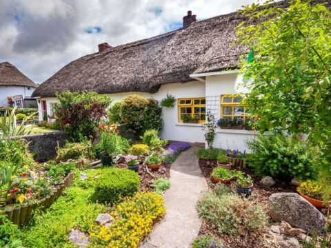 Reethäuser in Adare