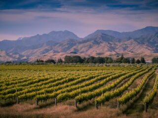 Marlborough Sounds