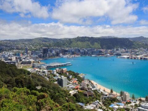 Blick auf Wellington