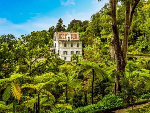 Madeira: Monte