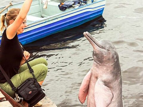 Besuch bei den Flussdelfinen