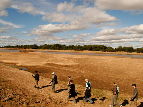 Bush Walk im South Luangwa NP