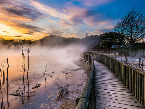 Kuirau Park in Rotorua