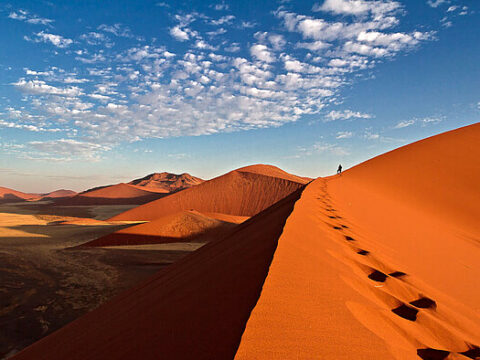 Rote Dünen im Sossusvlei