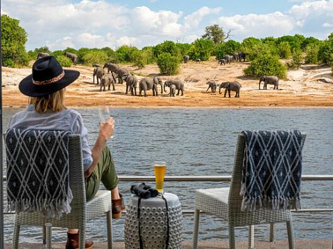 Safari an Bord der "Chobe Princess"