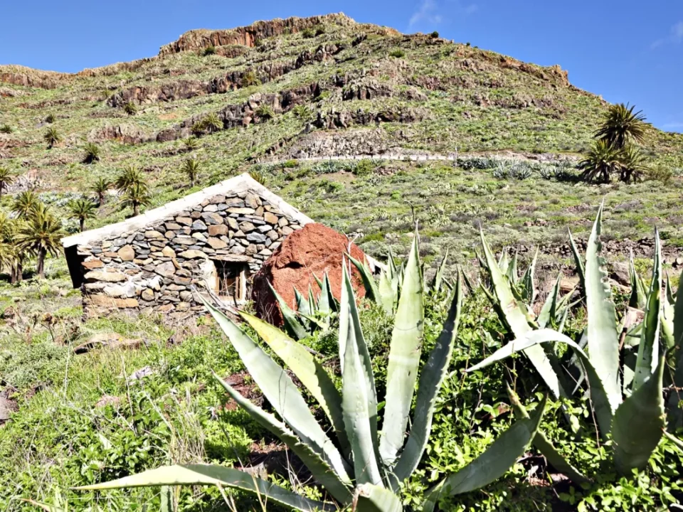 Im Valle Gran Rey