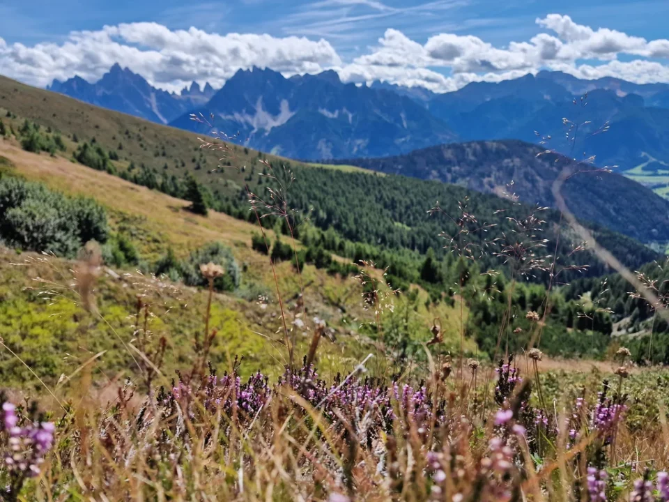 Wolken über den Bergen