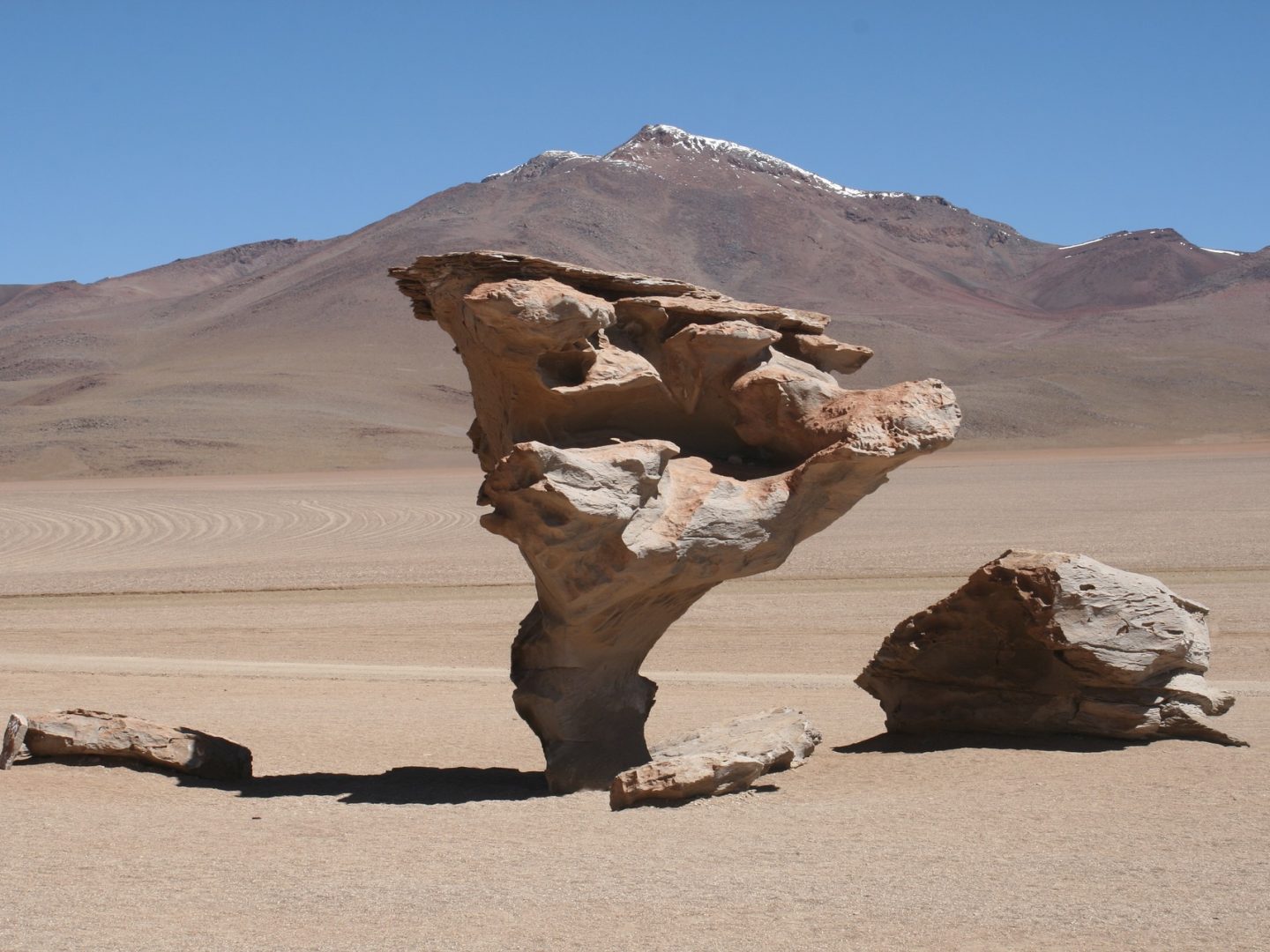 In der Atacama-Wüste