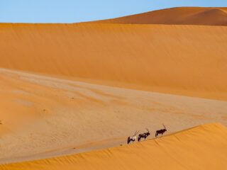 Sossusvlei