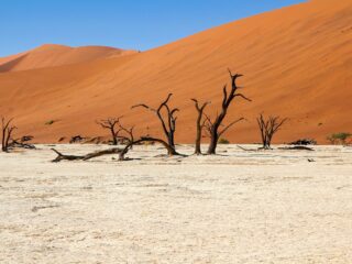 Deadvlei