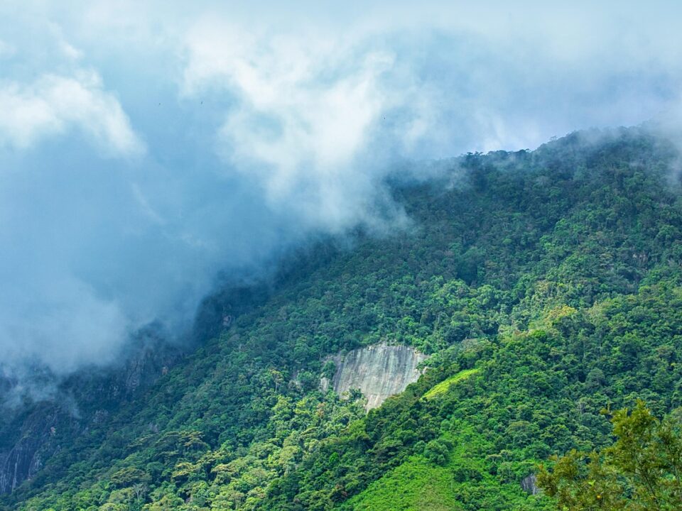 Devil's Staircase