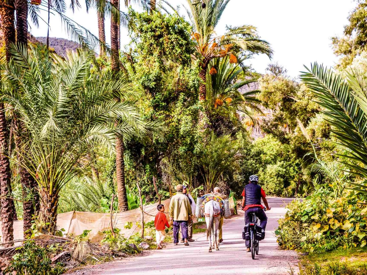 Radfahren im Garten Eden