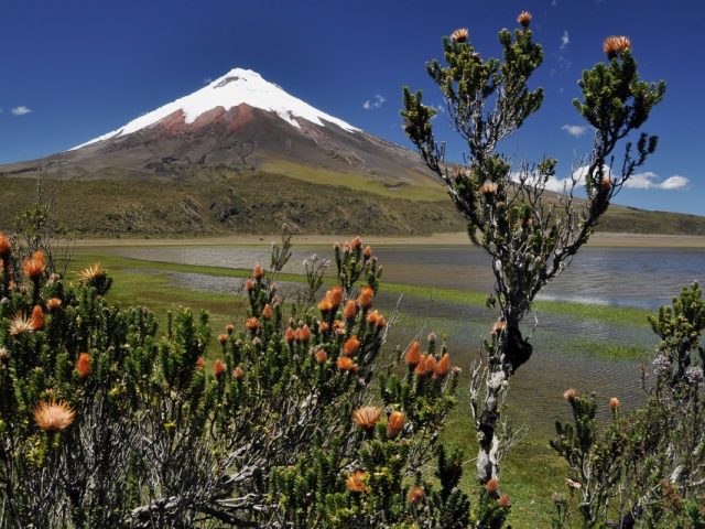 Blick auf den Chimborazo