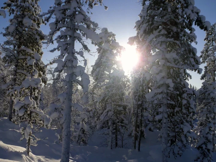 Finnland: Winterlandschaft