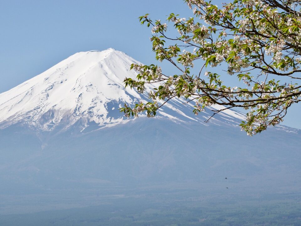 Fuji-san