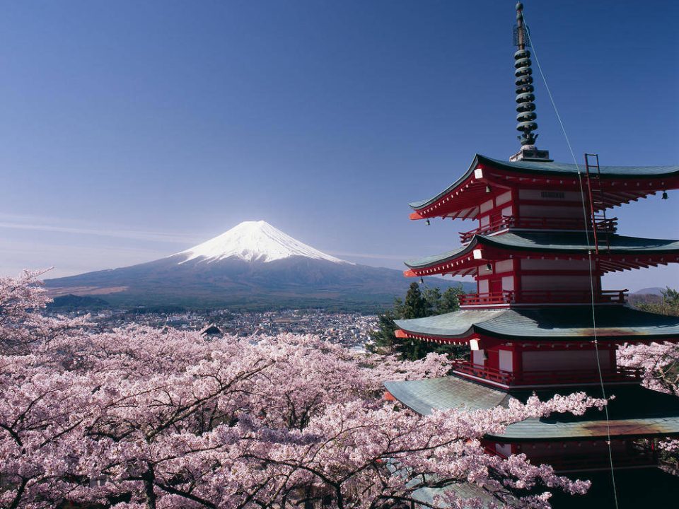 Blick auf den Fuji zur Kirschblütenzeit