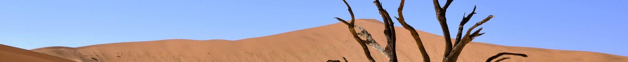 Namibia - Dead Vlei (Panorama)