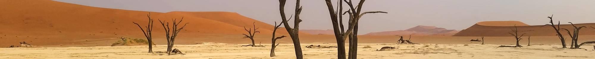 Wüstenreisen - die Namib-Wüste in Namibia (Panorama)