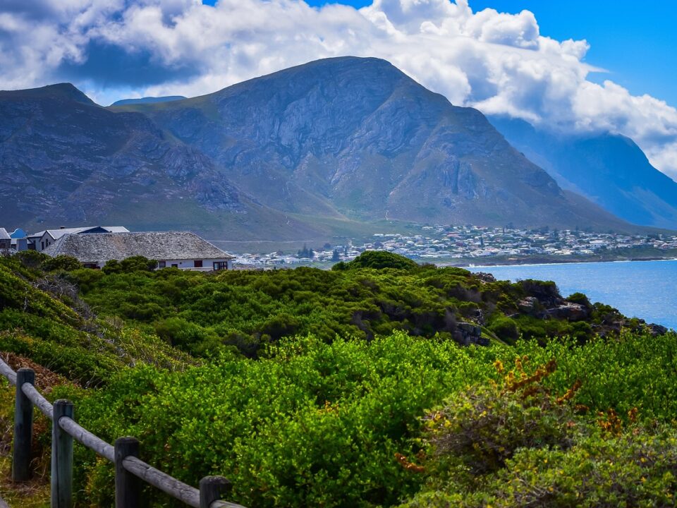 Hermanus