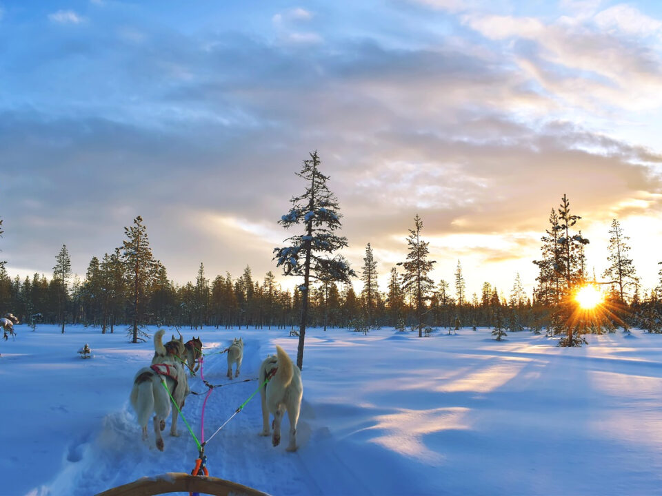 Husky-Schlittentour