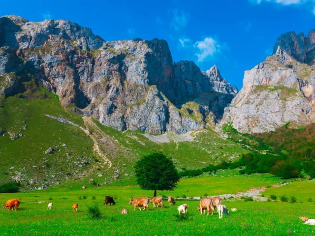 In den Picos de Europa