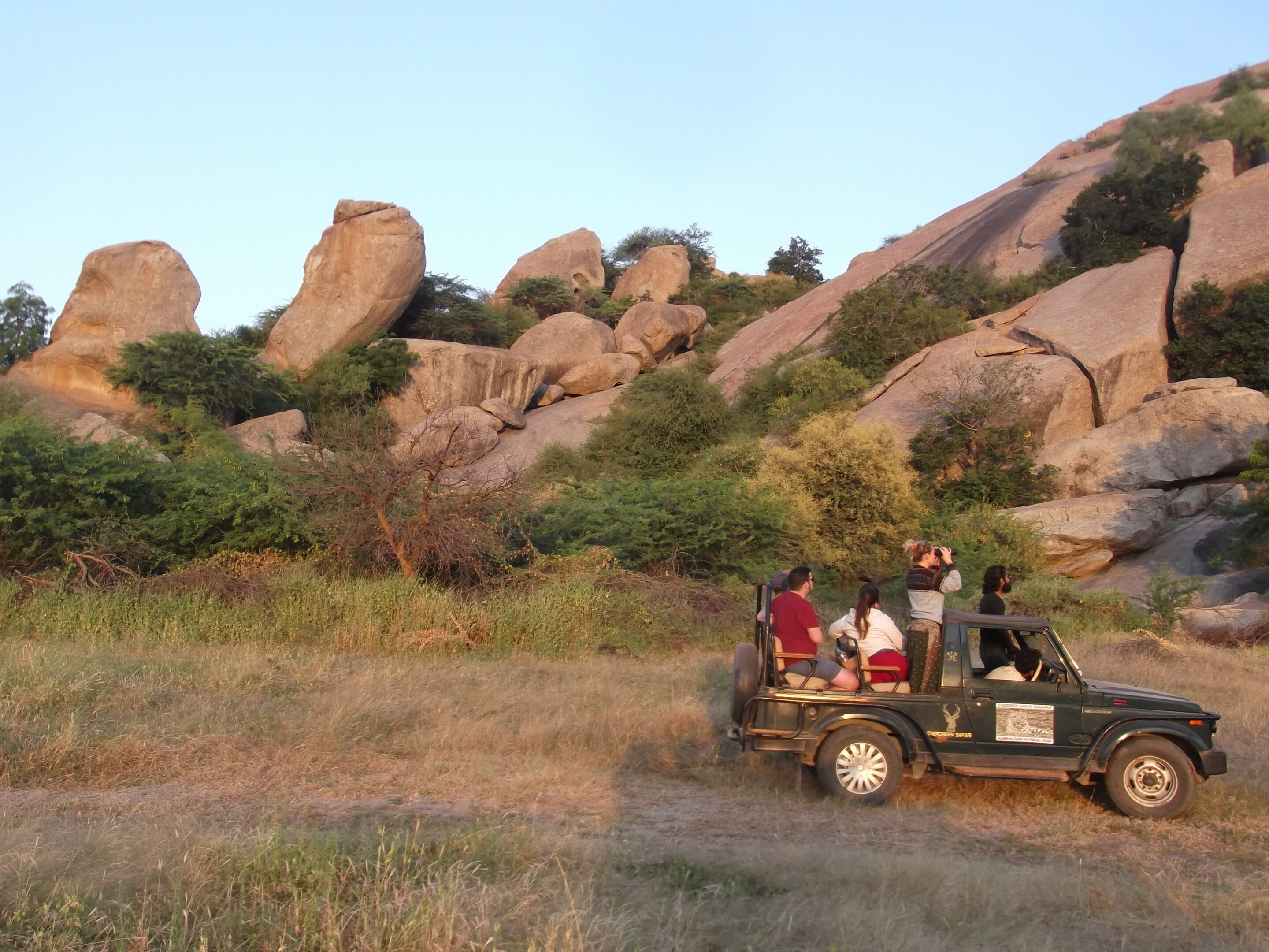 Leopardensafari Granitfelsen