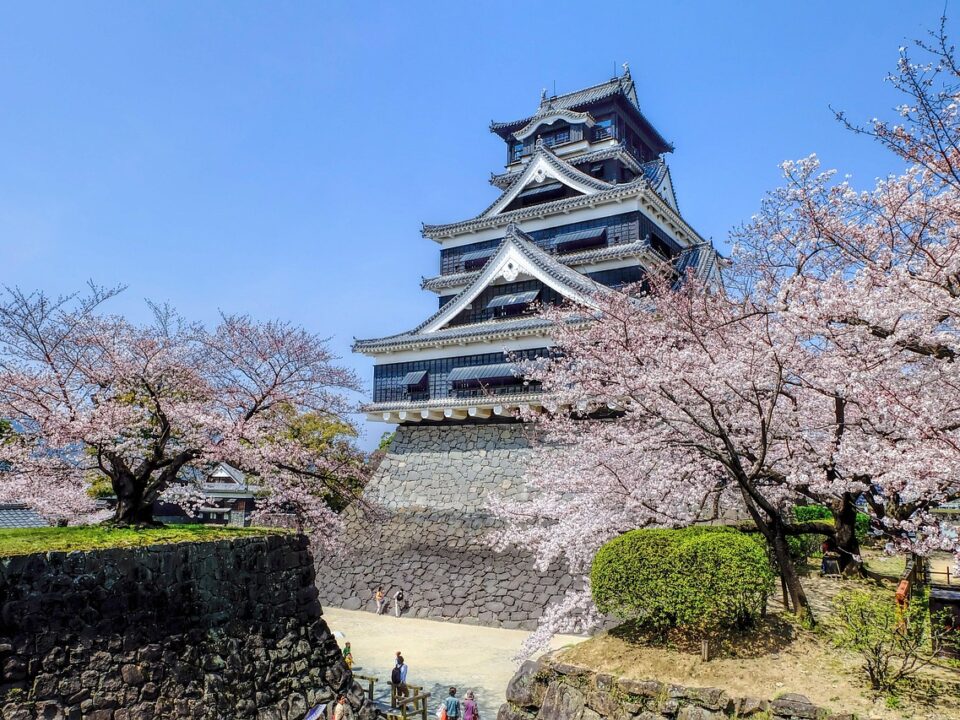 Kirschblüte in Kumamoto