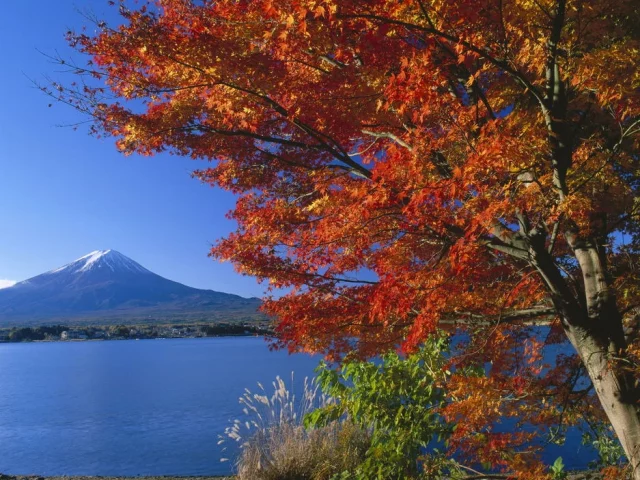 Herbstlicher Blick auf den Fuji-san