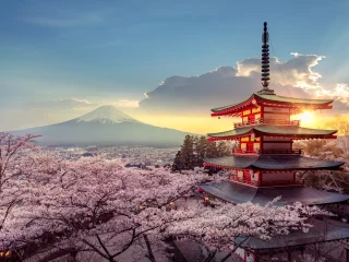 Chureito-Pagode und Fuji-san zur Kirschblütenzeit