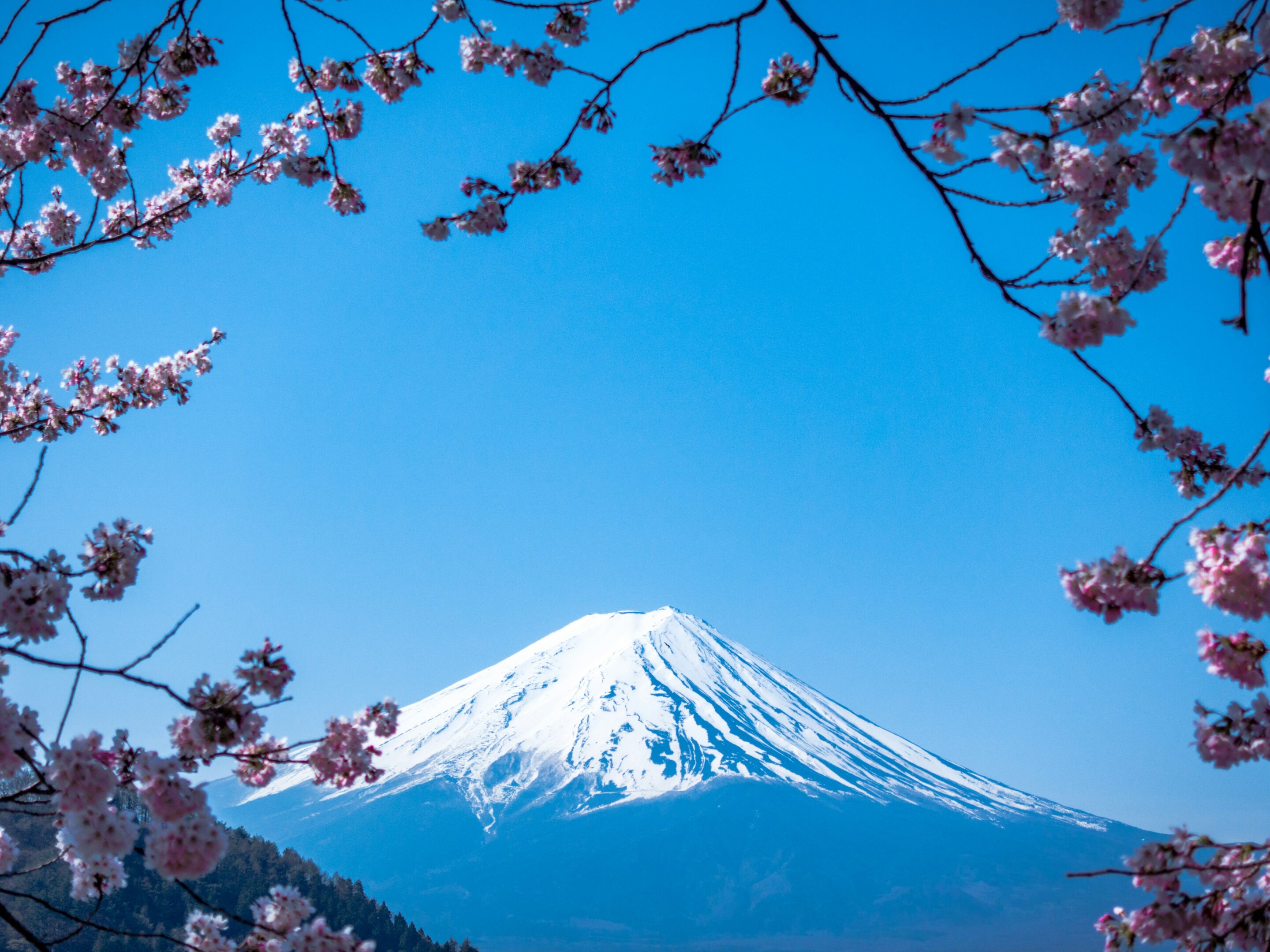 Blick auf den Fuji-san