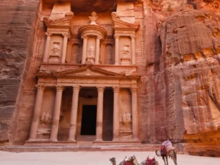 Kamele in Petra