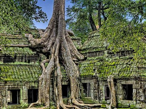 Ta Prohm-Tempel