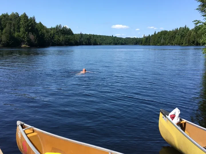 Im Algonquin Park