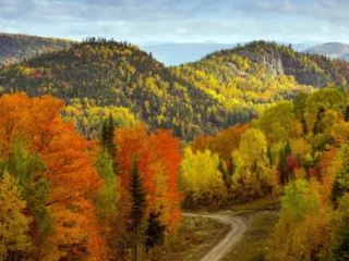 Herbstfärbung am Saguenay-Fjord
