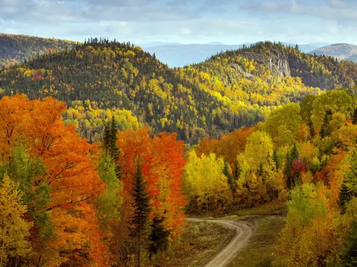 Herbstfärbung am Saguenay-Fjord