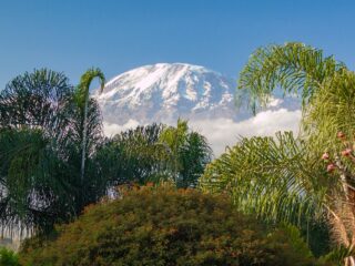 Kilimanjaro