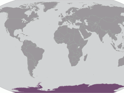 Geographische Lage von  Antarktis