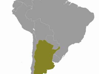 Geographische Lage von  Argentinien