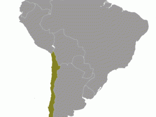 Geographische Lage von  Chile