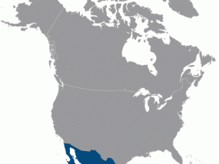 Geographische Lage von  Mexiko