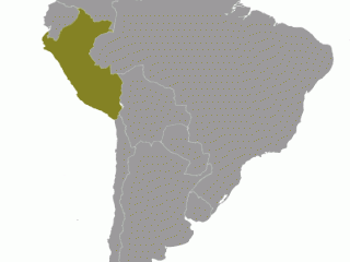 Geographische Lage von  Peru