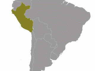Geographische Lage von Peru