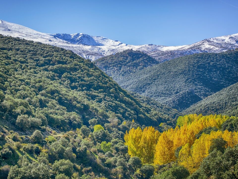 In der Sierra Nevada