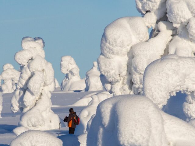 Unter Schneegiganten