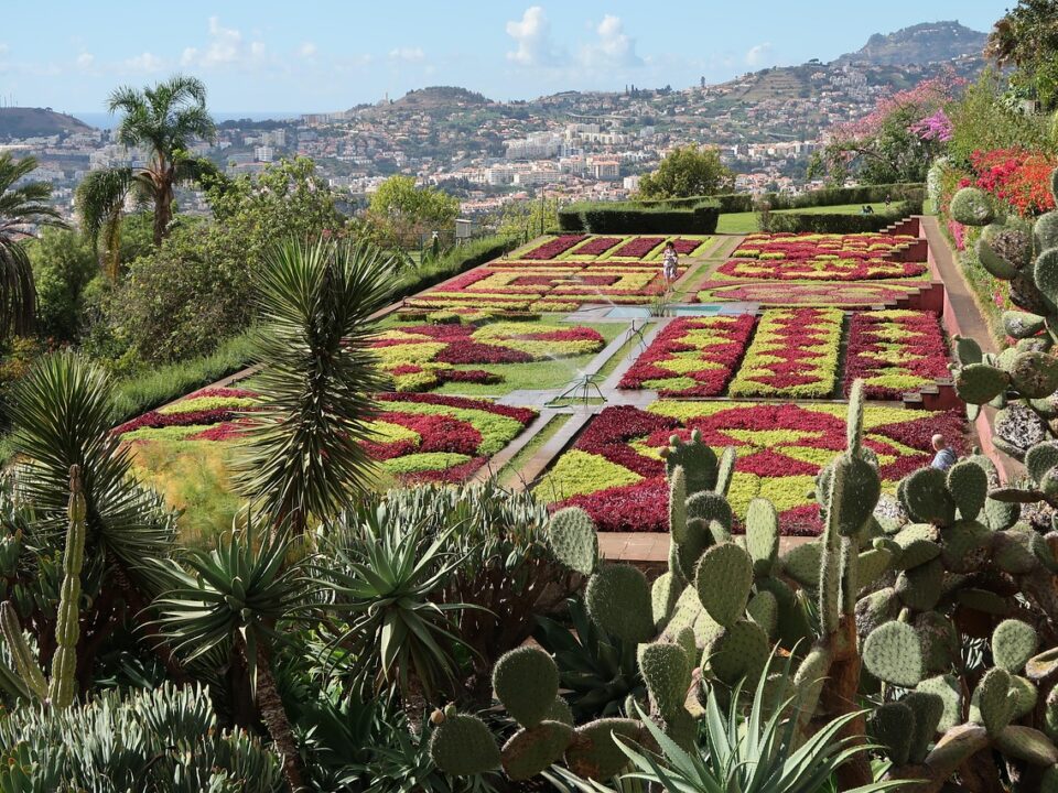 Botanischer Garten in Funchal