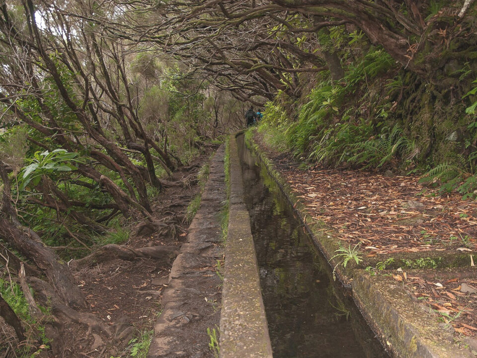Levada