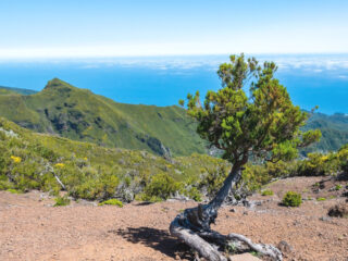 Wandern auf Madeira