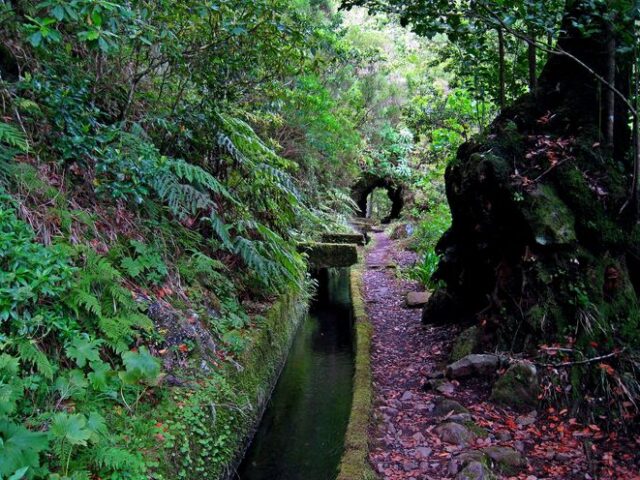 Levada do Norte
