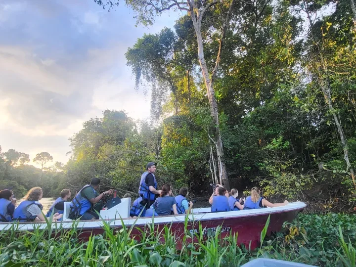 Flusssafari auf dem Kinabatangan River