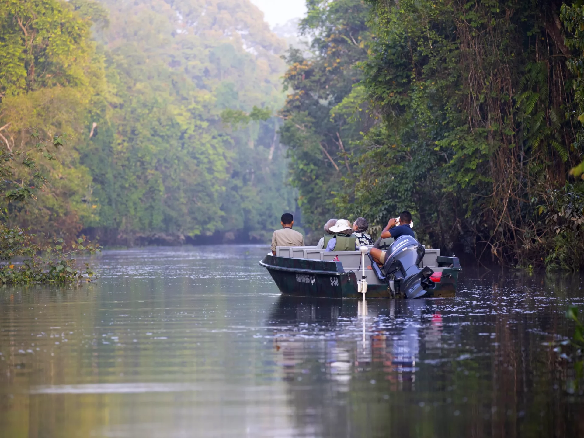 Fluss-Safari auf dem Kinabatangan